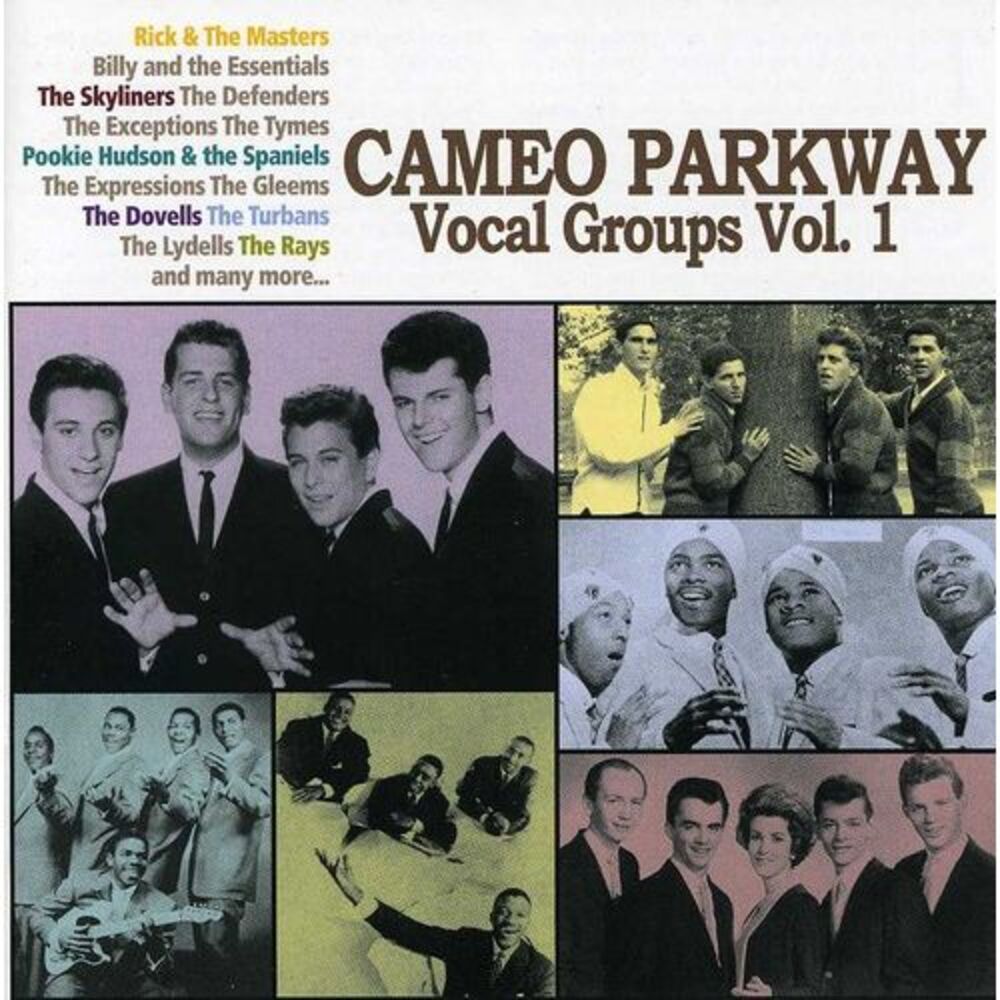 Various Artists - Remember Me Baby - Cameo Parkway Vocal Groups, Vol. 1